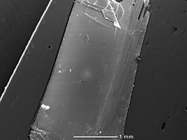 Black arsenic phosphorus under an electron microscope. Source: Technical University of Munich.